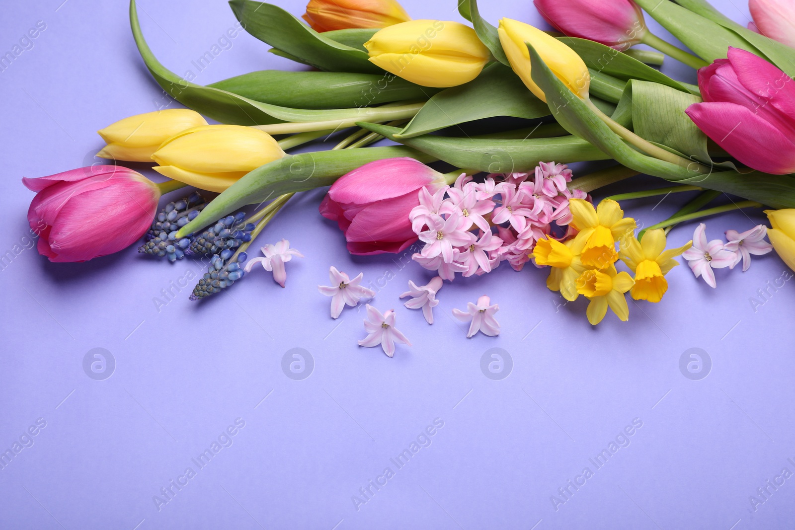 Photo of Beautiful different flowers on violet background, space for text