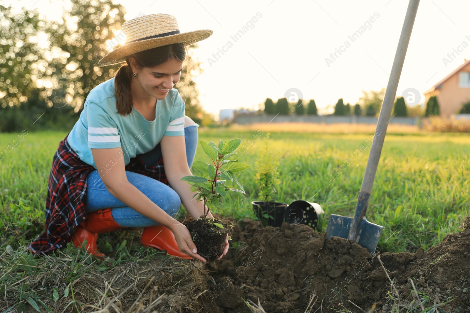 Photo of Happy young woman planting tree in countryside