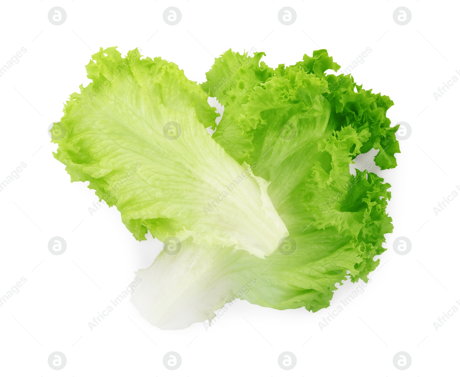 Photo of Fresh green lettuce leaves isolated on white, top view