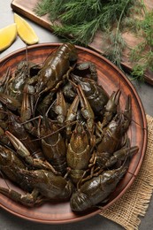 Photo of Fresh raw crayfishes with lemon and dill on grey table, flat lay