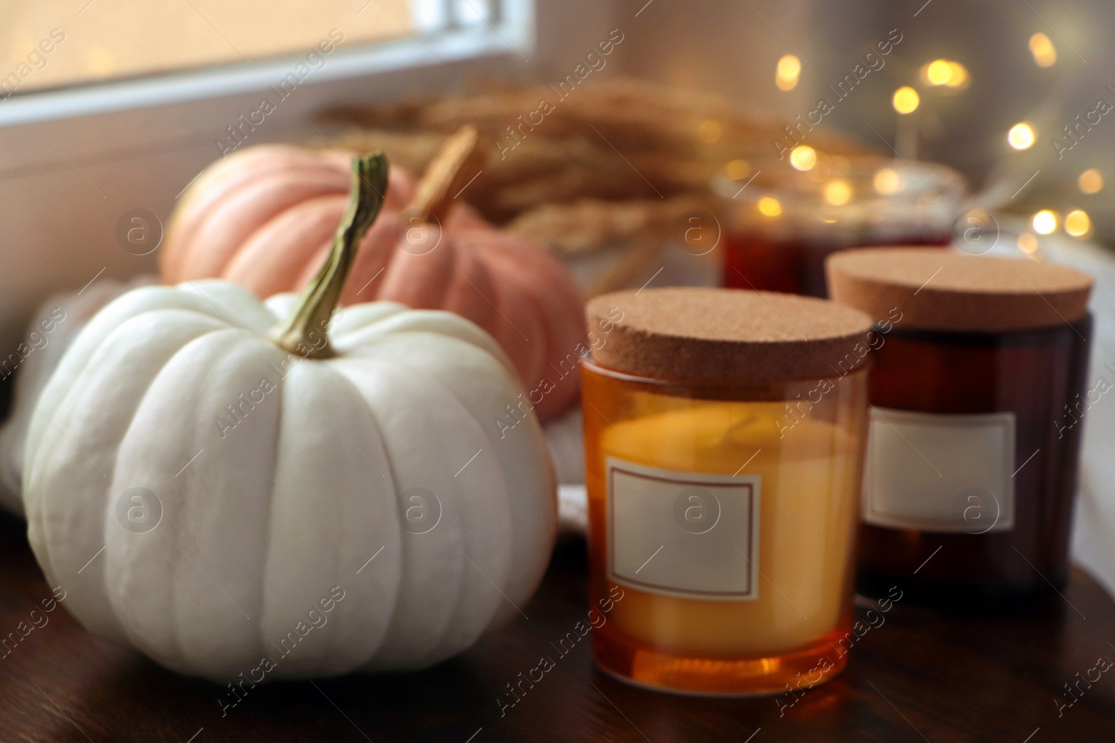 Photo of Beautiful pumpkins and scented candles on window sill indoors