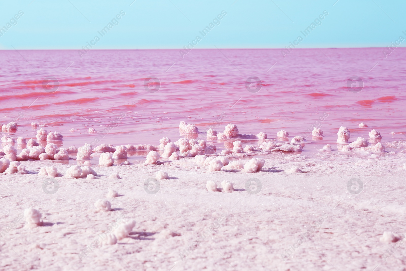 Photo of Beautiful view of pink lake on sunny day