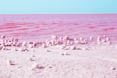 Beautiful view of pink lake on sunny day