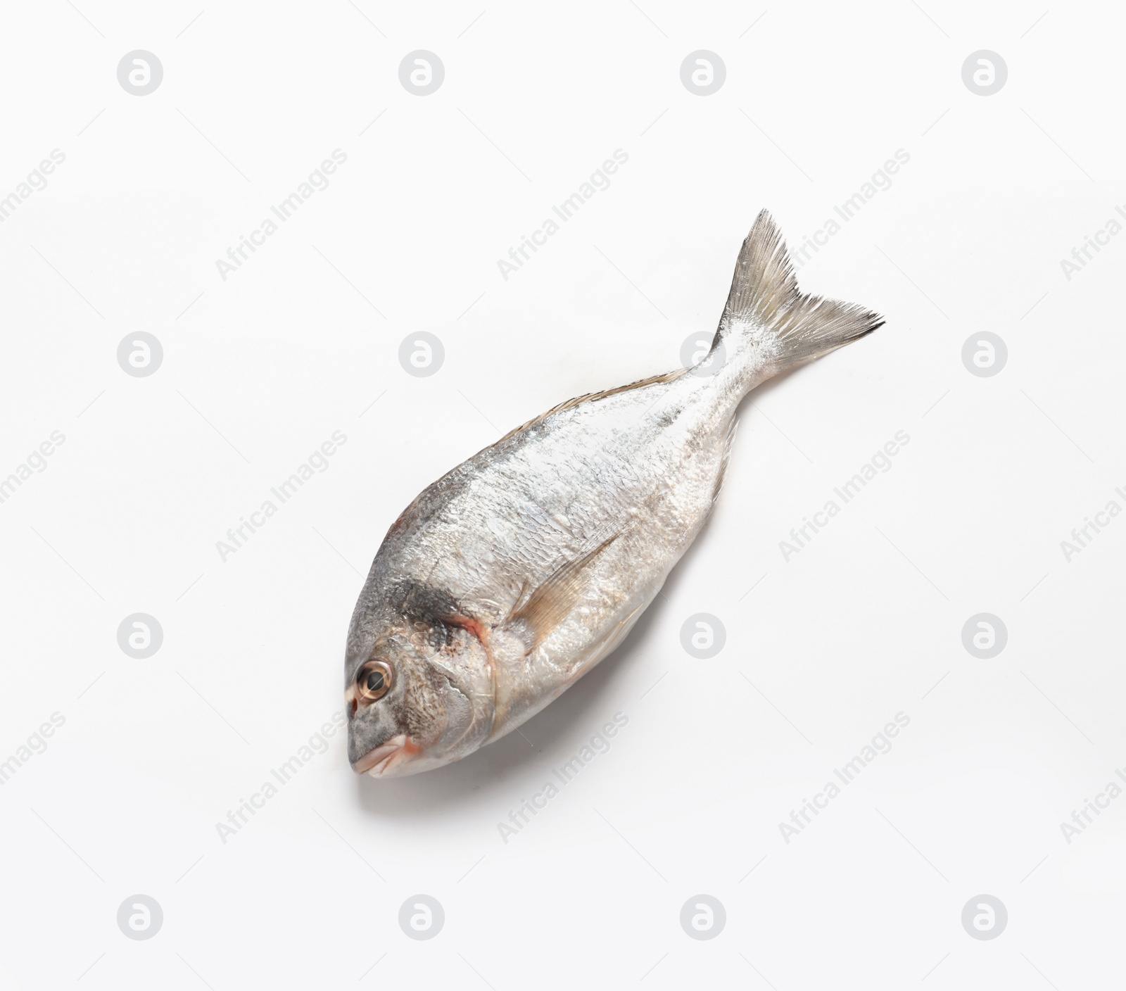 Photo of Raw fish on white background, top view. Natural food high in protein