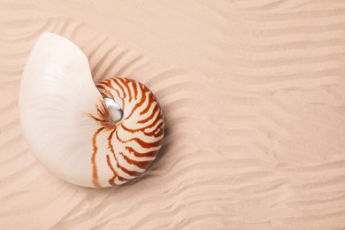 Photo of Nautilus shell on sand, top view. Space for text