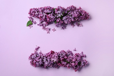 Photo of Beautiful lilac blossom on violet background, flat lay. Space for text