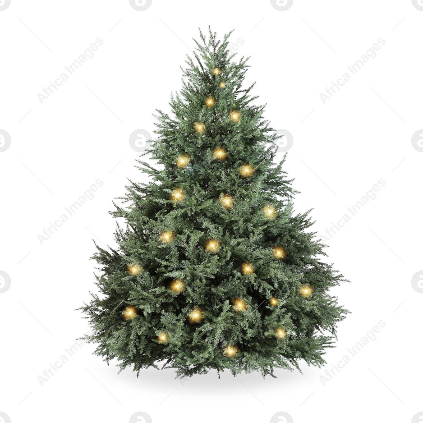 Image of Christmas tree decorated and festive lights isolated on white