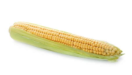 Tasty sweet corn cob on white background