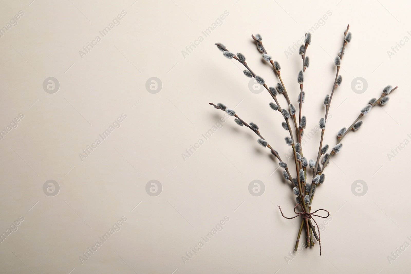 Photo of Beautiful bouquet of pussy willow branches, top view. Space for text