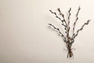 Photo of Beautiful bouquet of pussy willow branches, top view. Space for text