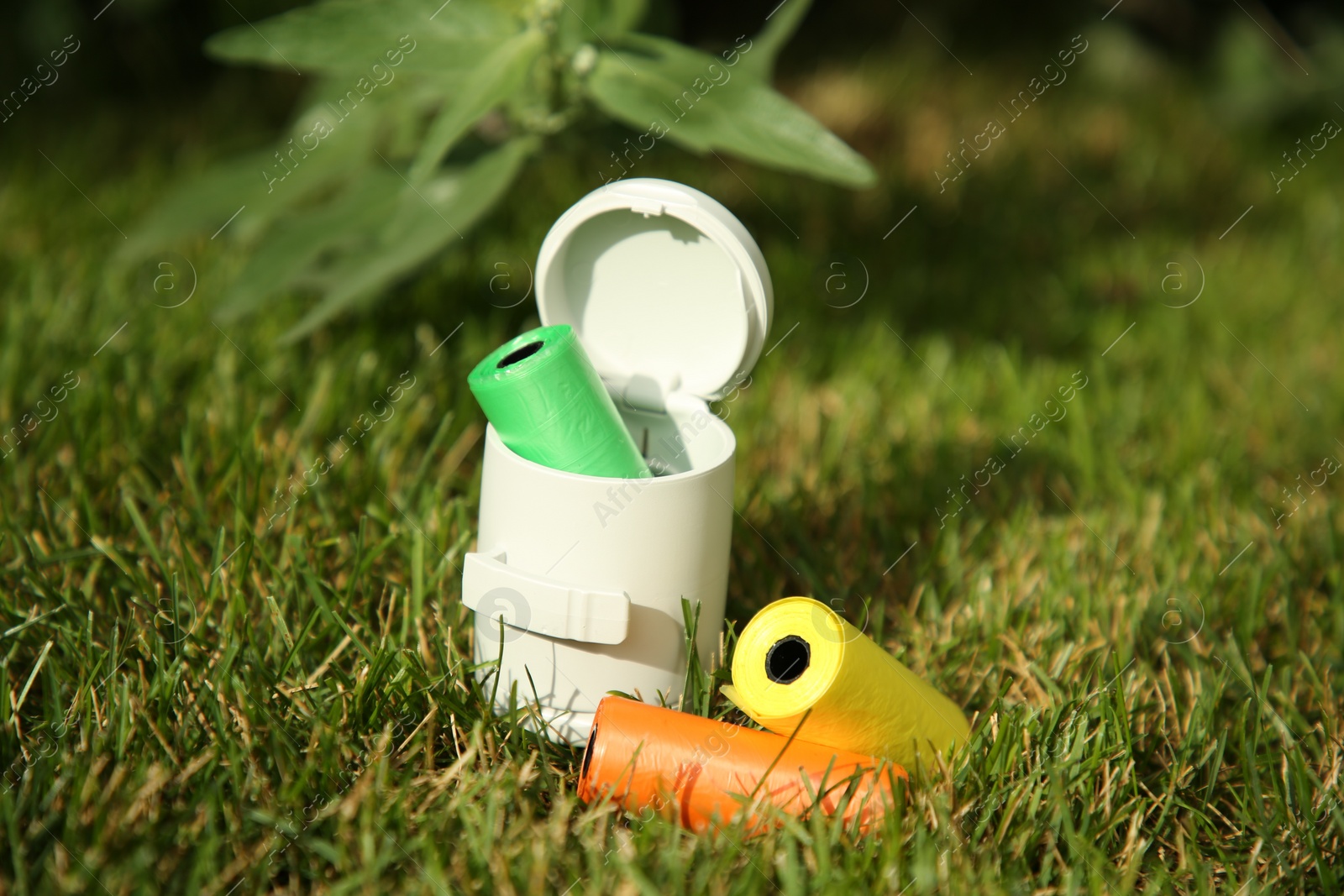 Photo of Rolls of colorful dog waste bags on green grass outdoors