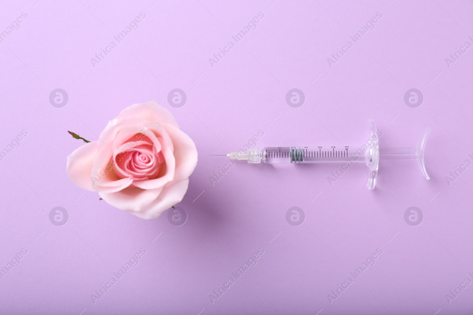 Photo of Cosmetology. Medical syringe and rose flower on violet background, flat lay