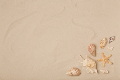 Photo of Flat lay composition with sea shells, starfish and space for text on beach sand