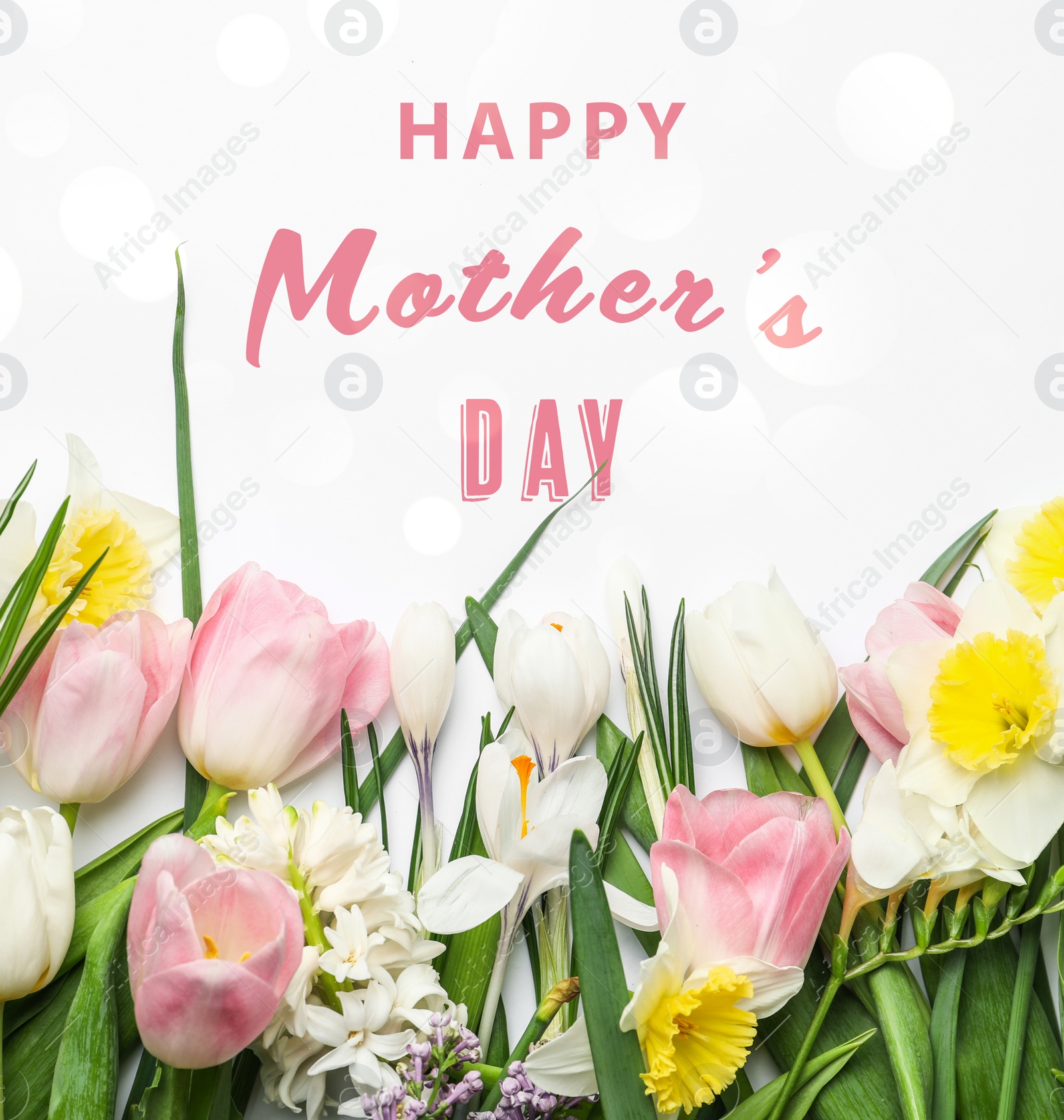 Image of Flat lay composition with beautiful spring flowers and phrase HAPPY MOTHER'S DAY on white background