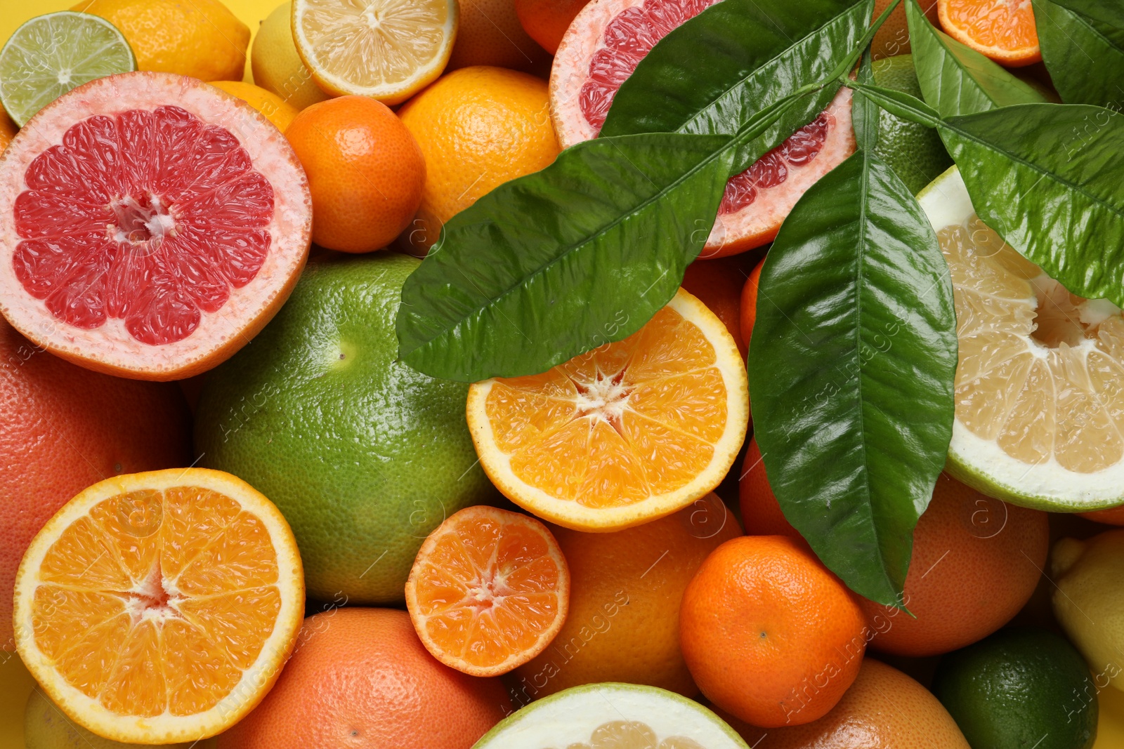 Photo of Different ripe citrus fruits with green leaves as background, top view