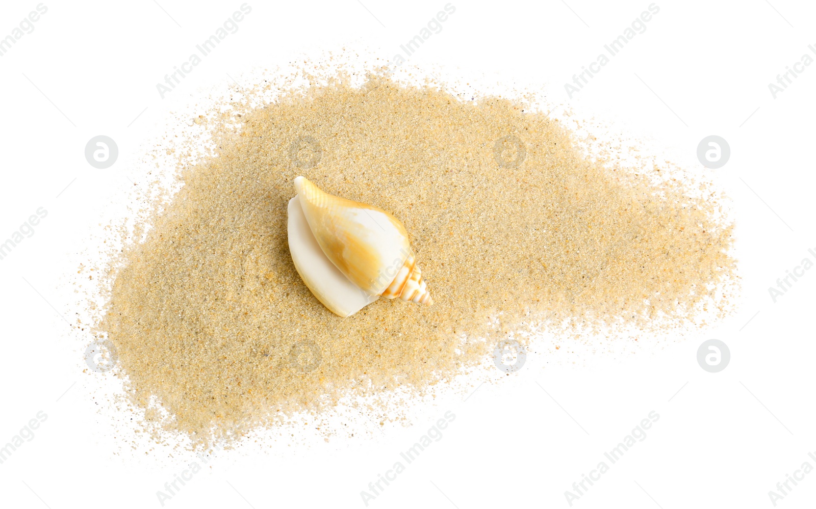 Photo of Beautiful sea shell and sand on white background, top view