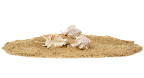 Photo of Composition with beach sand and shells on white background