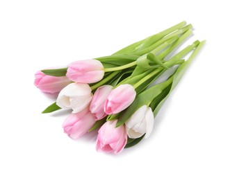 Beautiful pink spring tulips on white background
