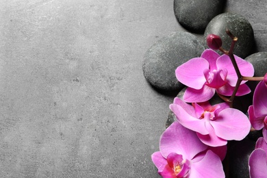 Photo of Composition with spa stones and orchid flowers on grey background. Space for text