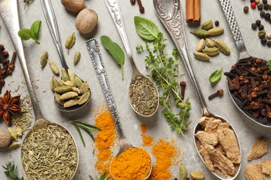 Photo of Different herbs and spices with spoons on grey table, flat lay