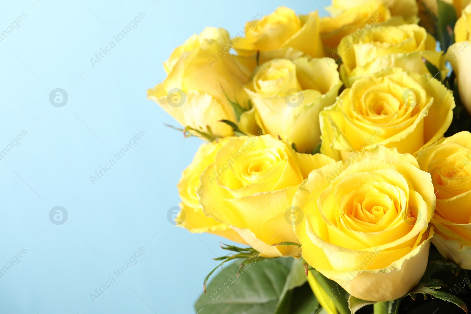 Photo of Beautiful bouquet of yellow roses on light blue background, closeup. Space for text