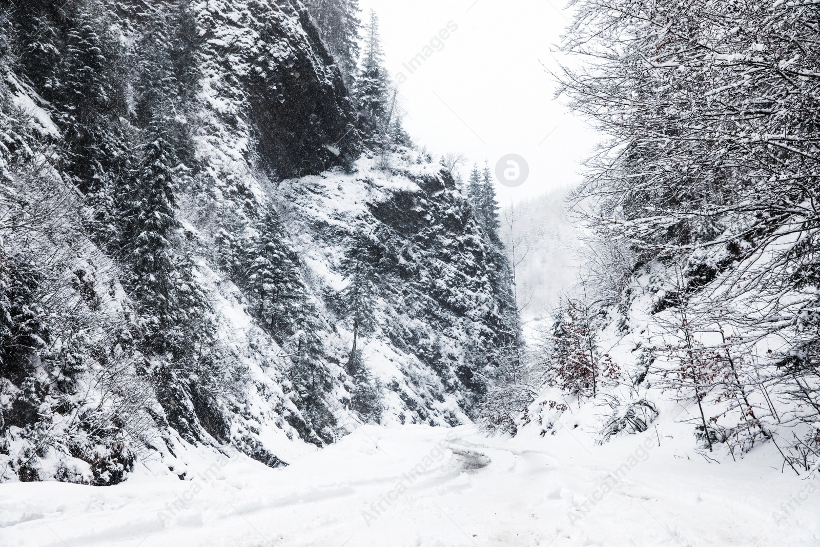 Photo of Picturesque view of road near snowy forest on winter day