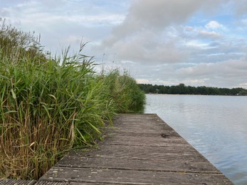 Photo of Picturesque view of river reeds and cloudy sky