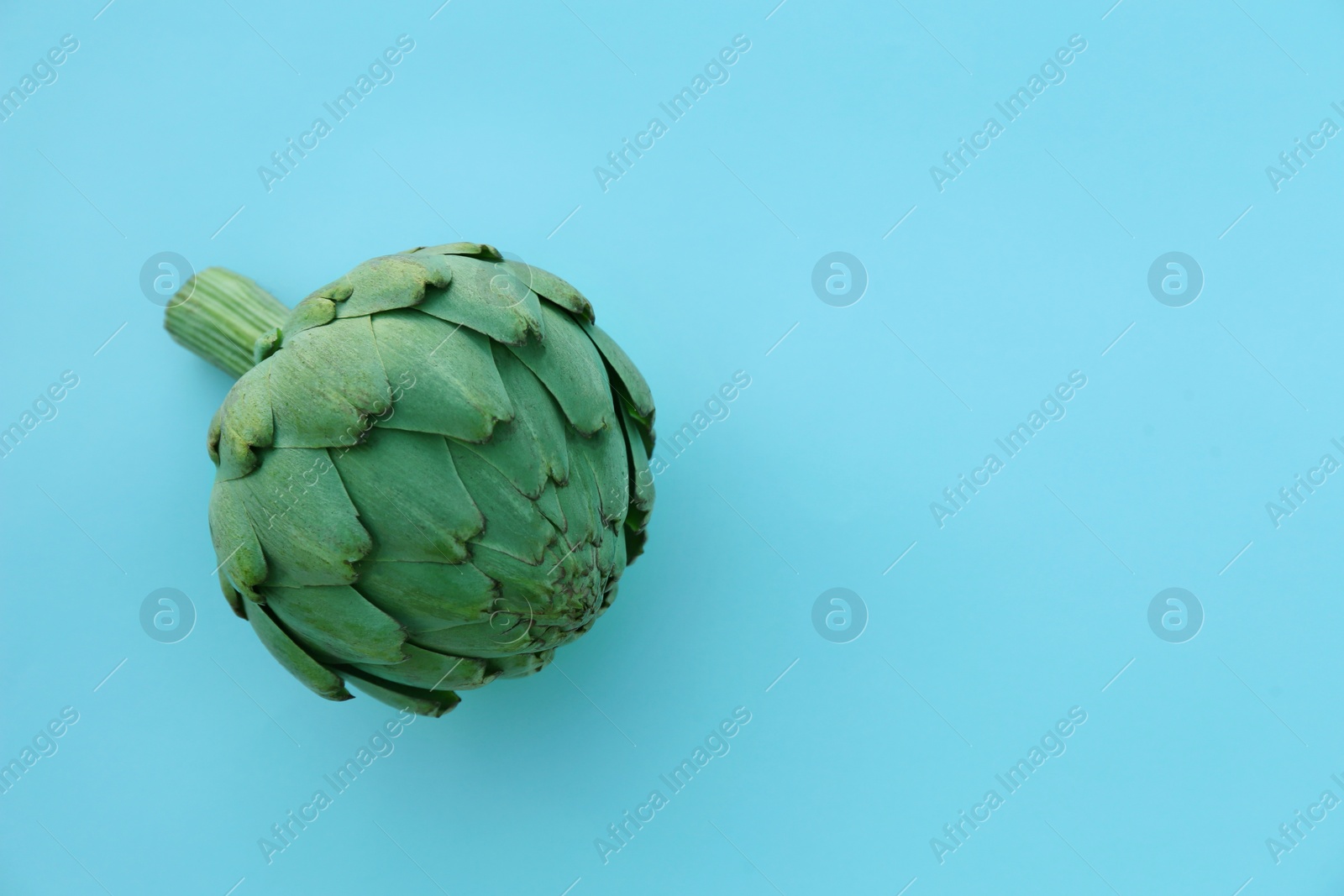 Photo of Whole fresh raw artichoke on light blue background, top view. Space for text