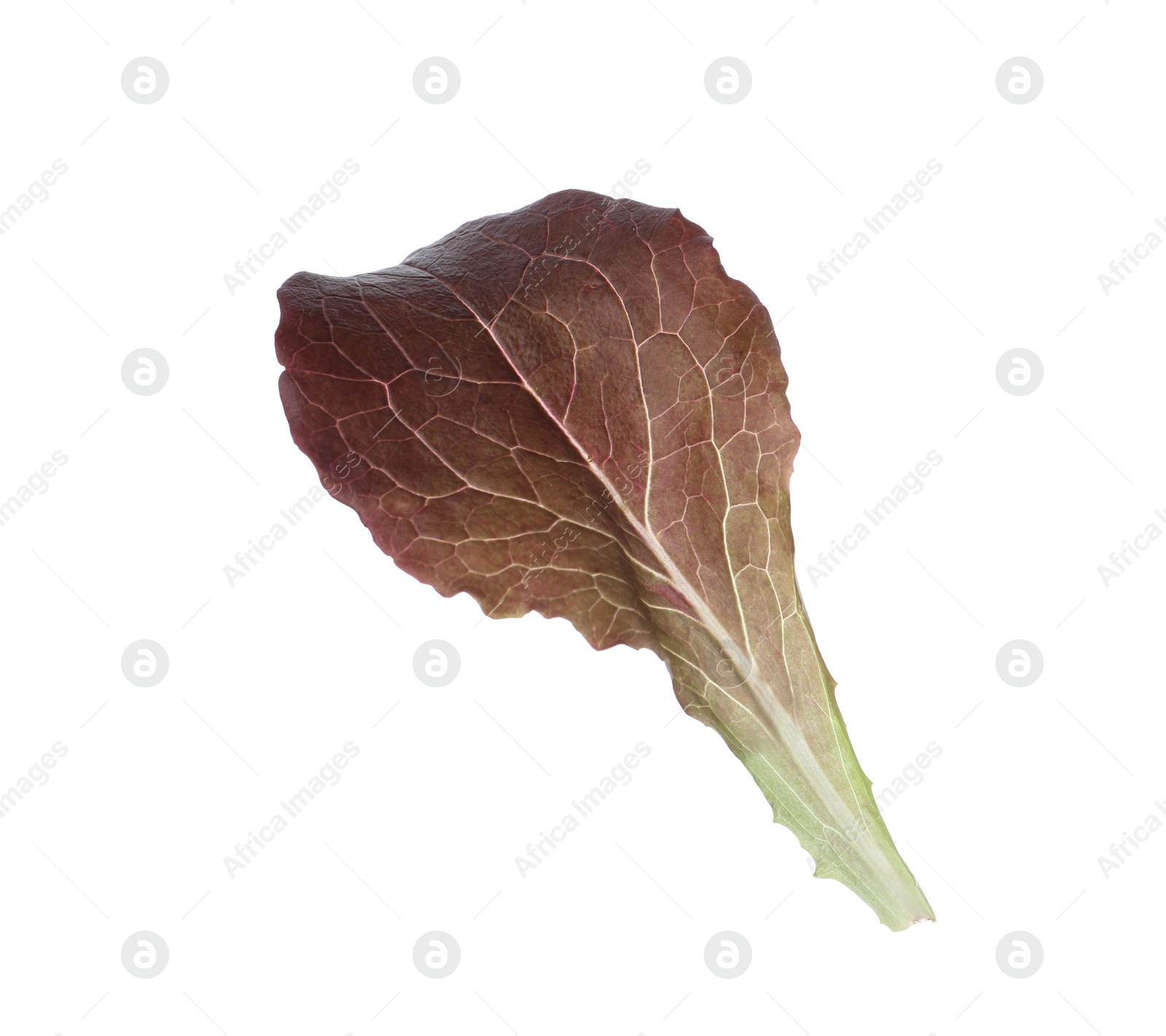 Photo of Leaf of fresh red lettuce isolated on white
