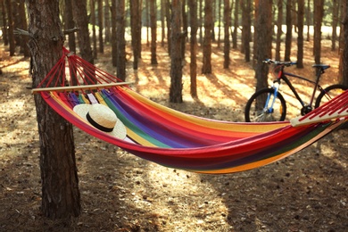 Empty hammock in forest on summer day