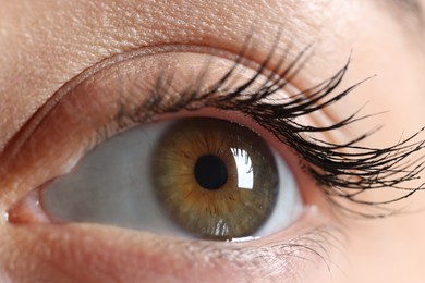 Macro photo of woman with beautiful eyes