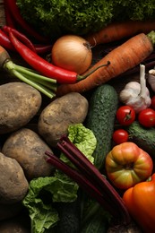 Photo of Different fresh ripe vegetables as background, top view. Farmer produce