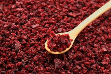 Photo of Wooden spoon on dried red currants, closeup. Space for text