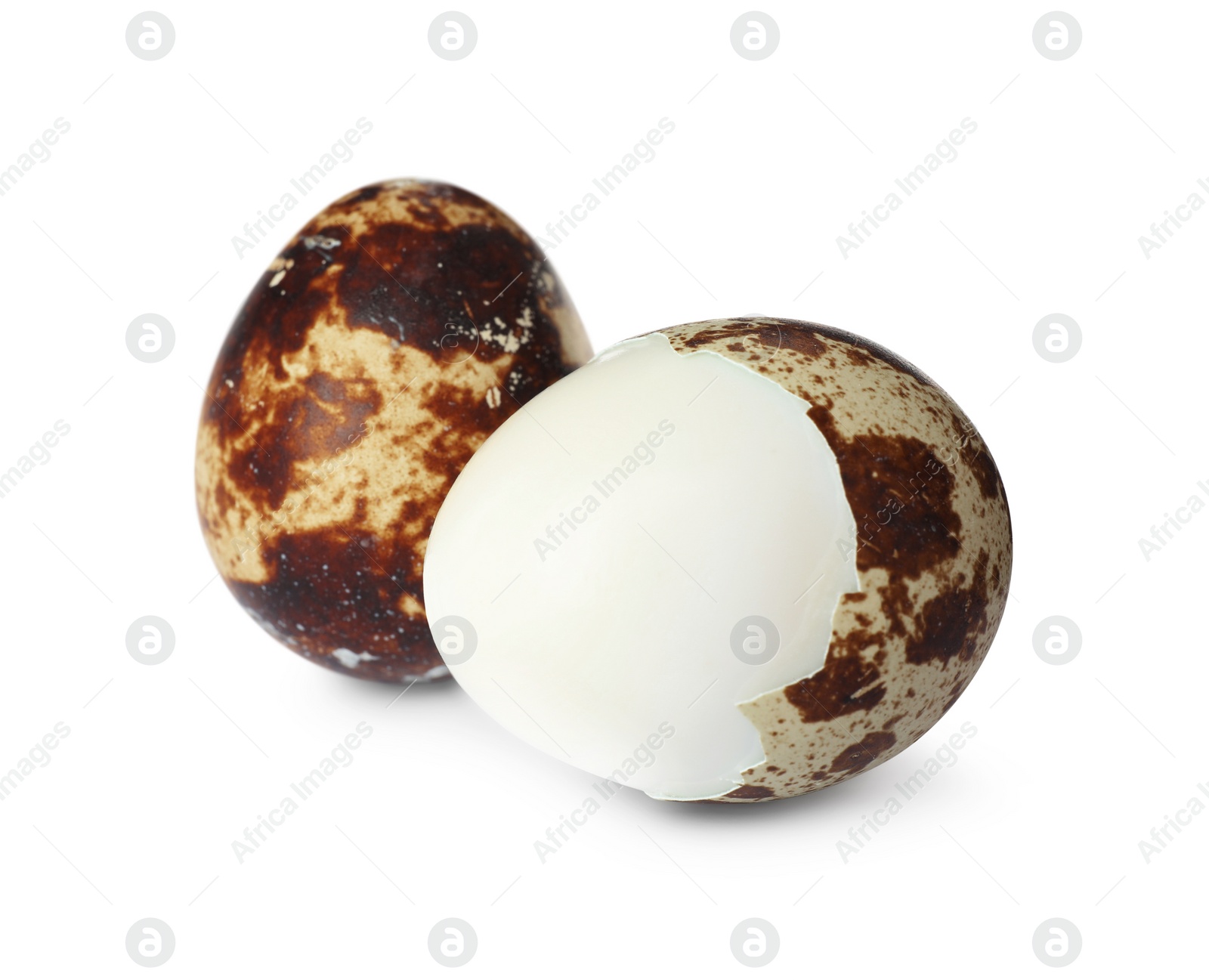 Photo of Boiled quail eggs in shell isolated on white