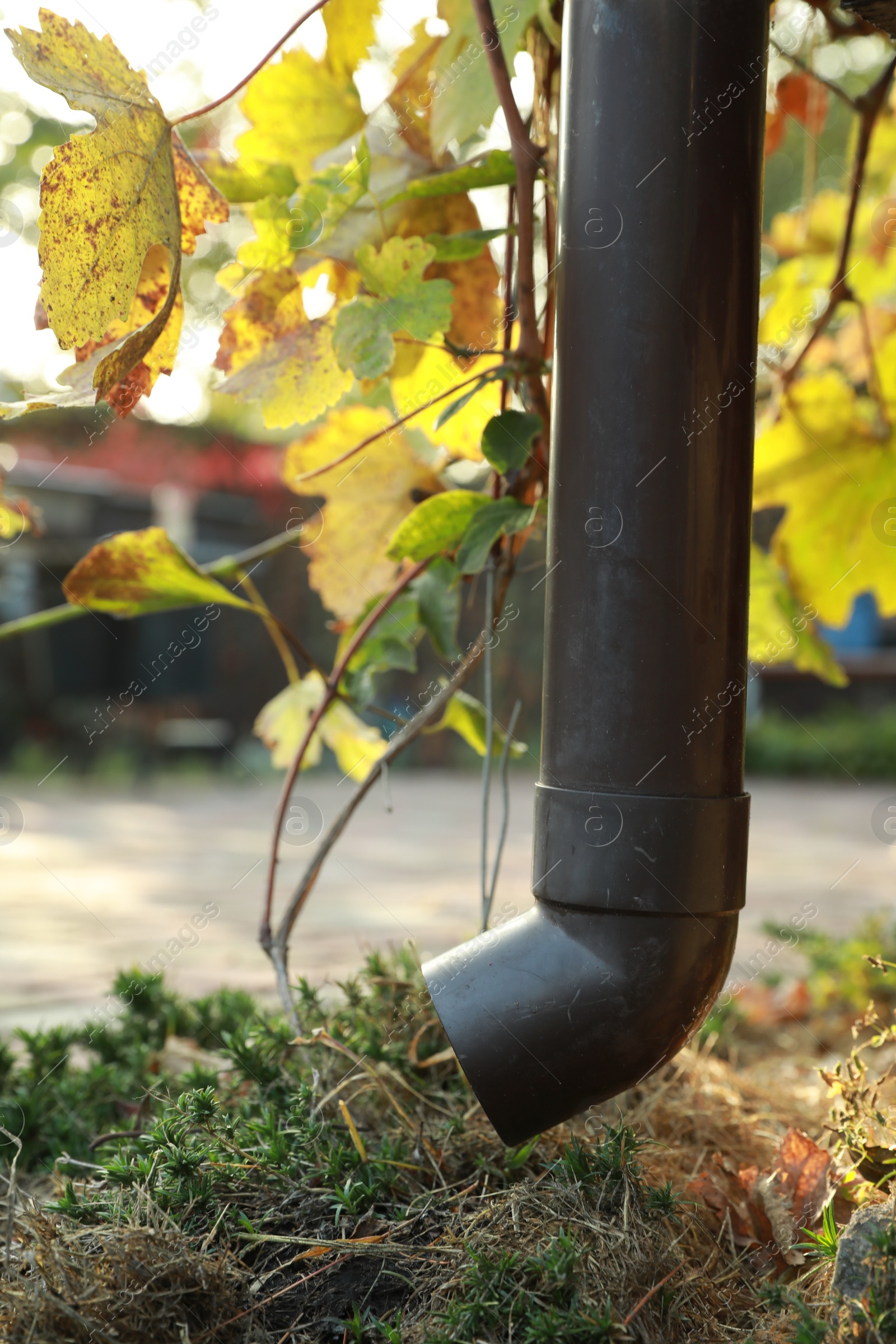 Photo of One drainpipe on street. Gutter protection system