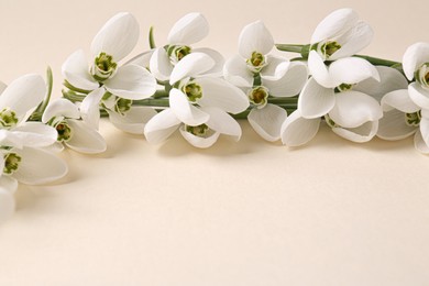 Photo of Beautiful snowdrops on beige background, closeup. Space for text