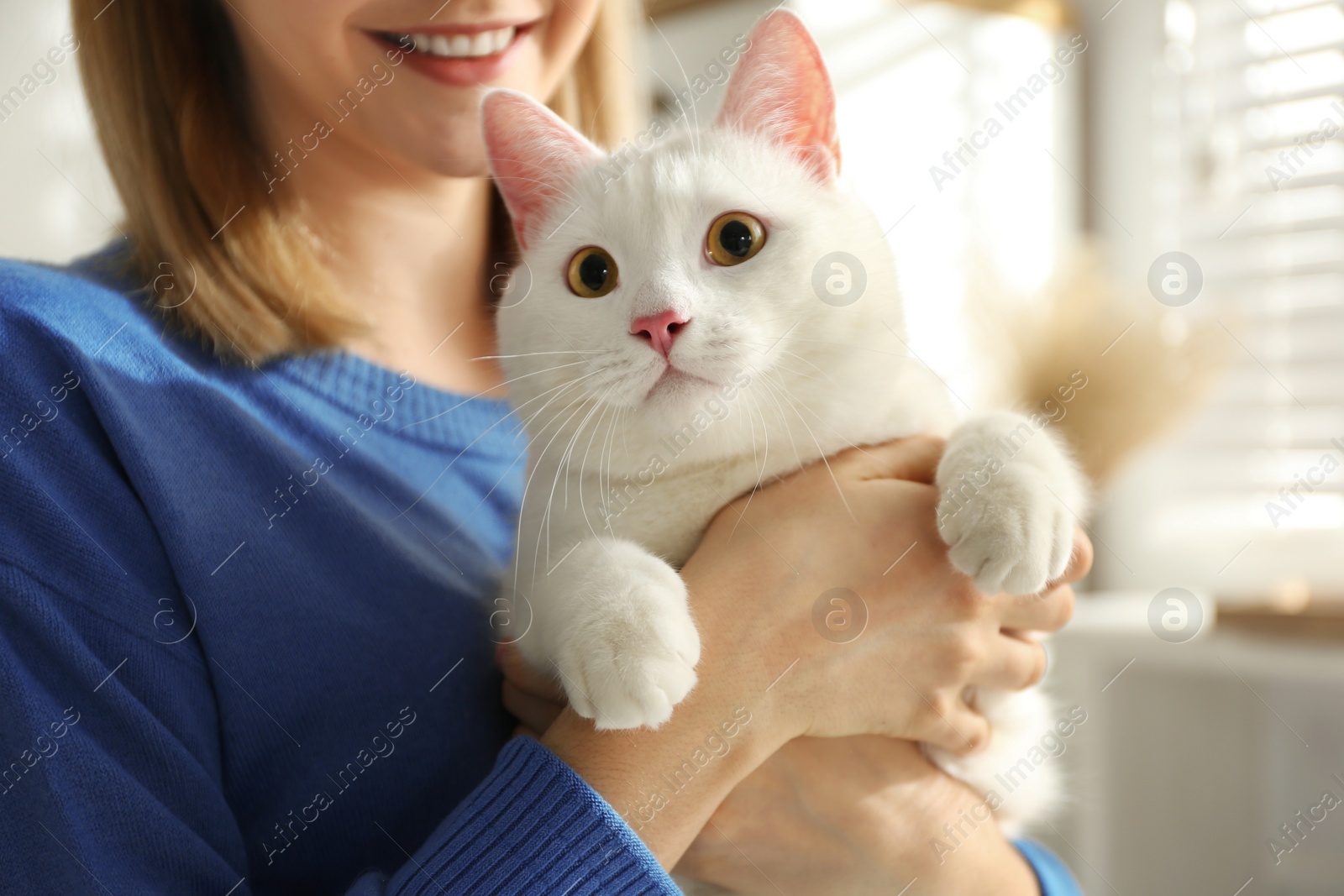 Photo of Young woman with her beautiful white cat at home, closeup. Fluffy pet