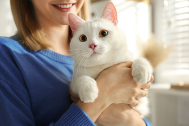 Young woman with her beautiful white cat at home, closeup. Fluffy pet