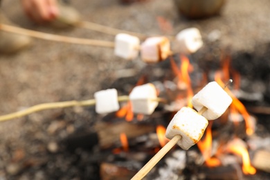 Frying marshmallow on bonfire outdoors. Camping season