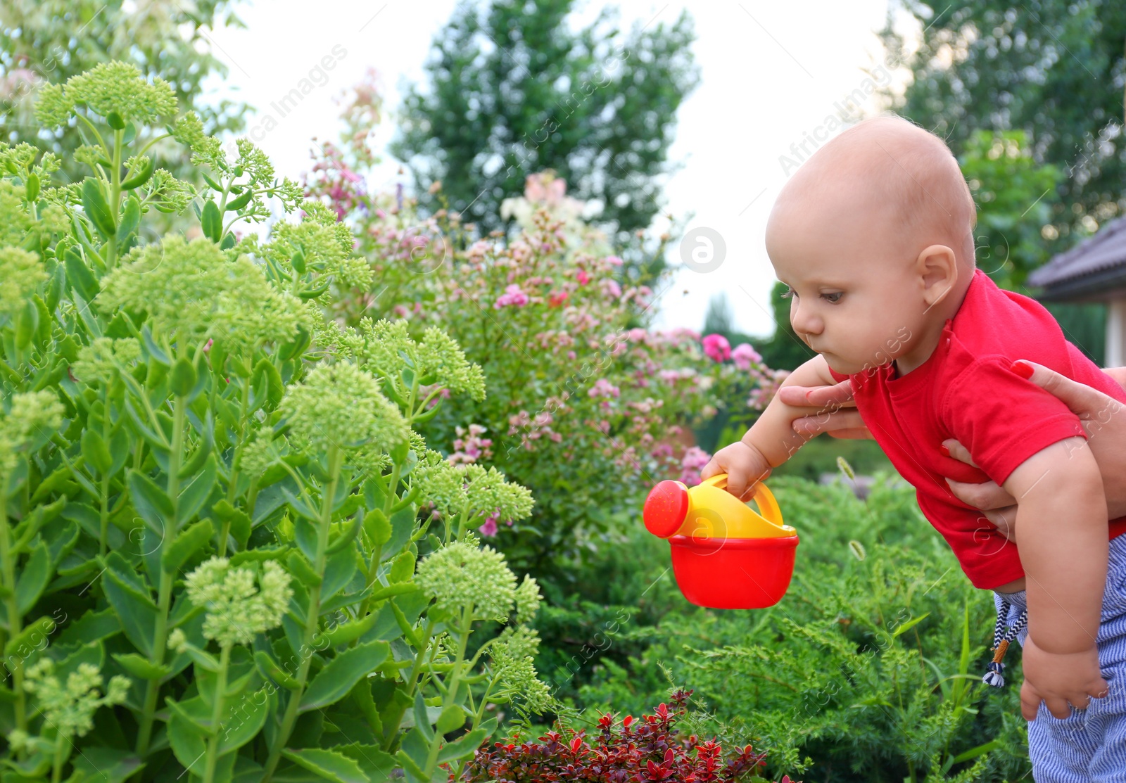 Photo of Mother holding little child with toy watering can near plant outdoors. Home gardening