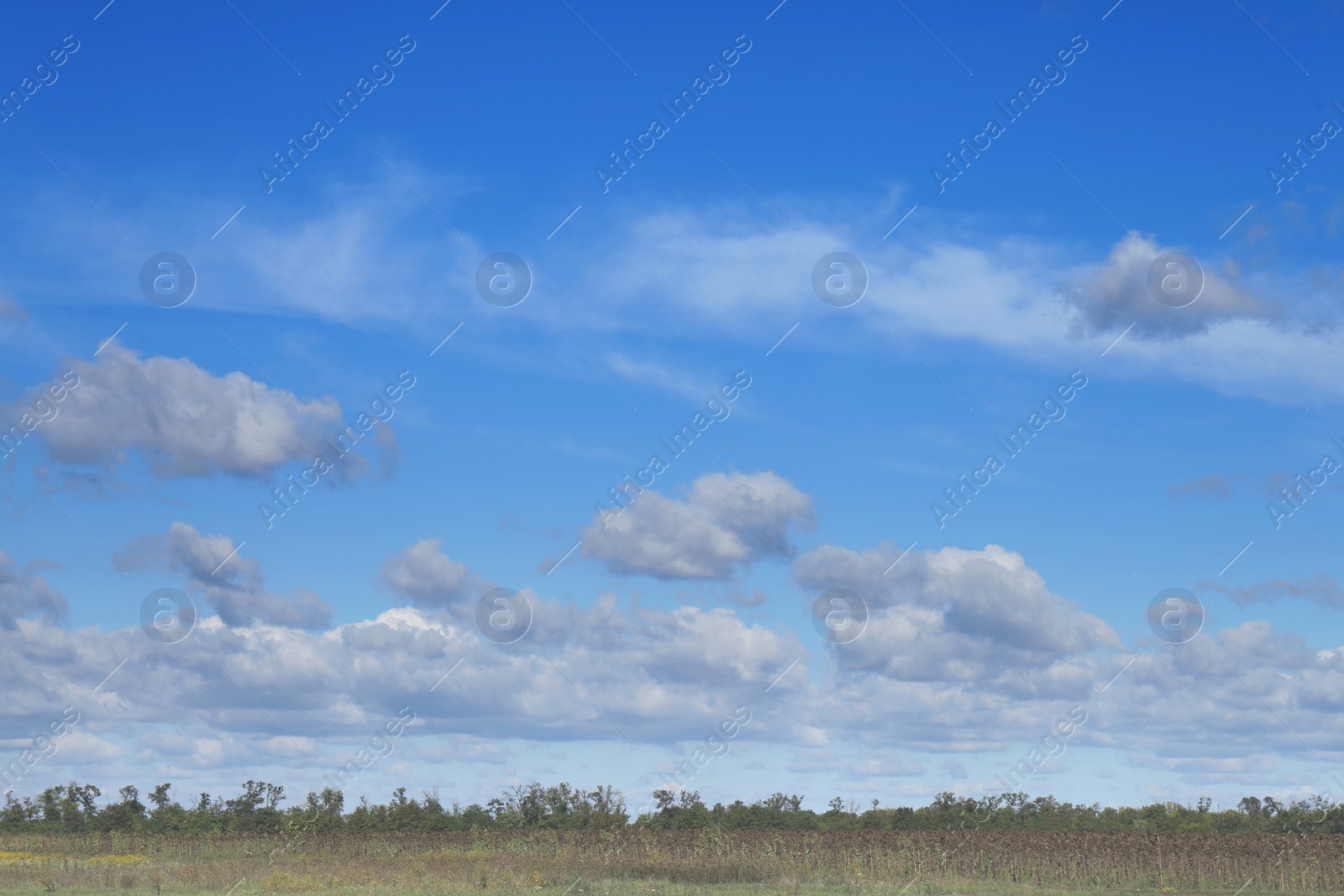 Photo of Beautiful view on blue sky with white clouds above green field