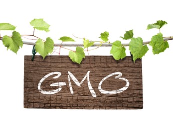 Image of Wooden board with abbreviation GMO hanging on rope and green leaves against white background