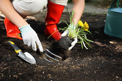 Photo of Woman planting flowers outdoors, closeup. Gardening time