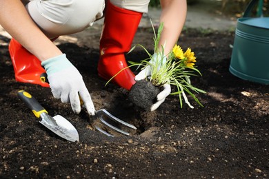 Woman planting flowers outdoors, closeup. Gardening time