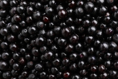 Photo of Black elderberries (Sambucus) as background, top view