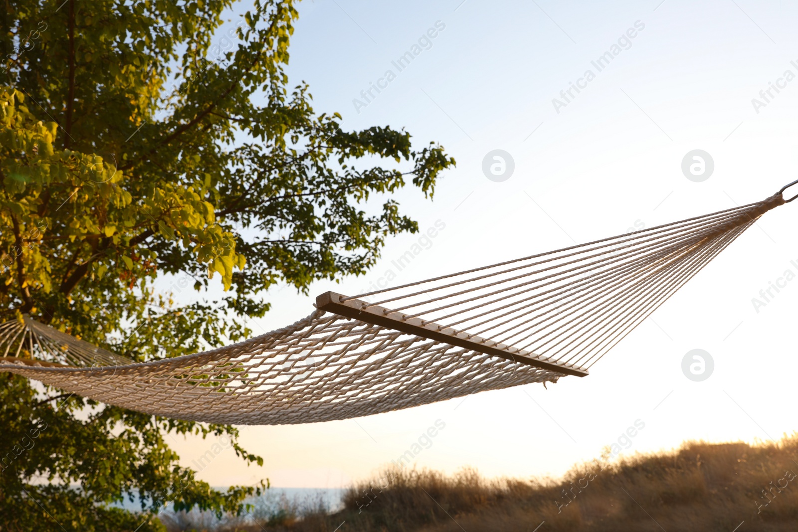 Photo of Empty hammock hanging outdoors. Time to relax