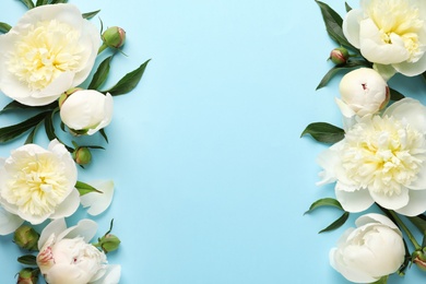 Photo of Fragrant peonies on color background, flat lay with space for text. Beautiful spring flowers