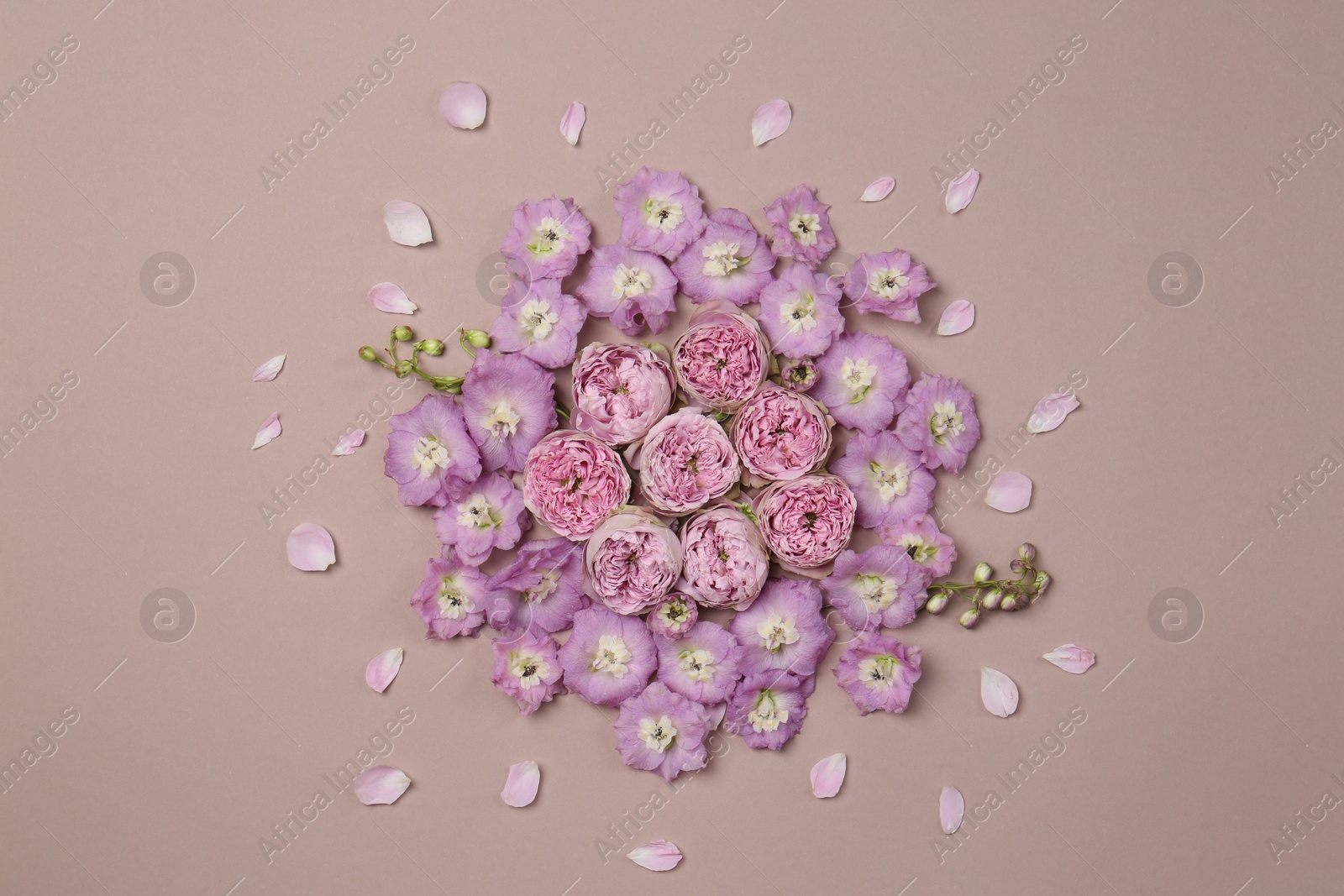 Photo of Flat lay composition with different beautiful flowers on beige background