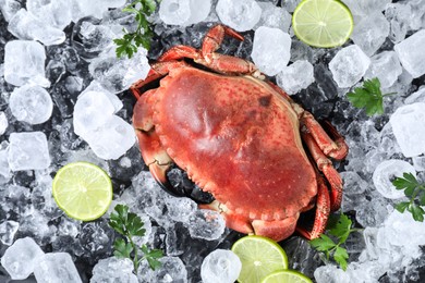 Photo of Delicious boiled crab, lime, parsley and ice on table, top view