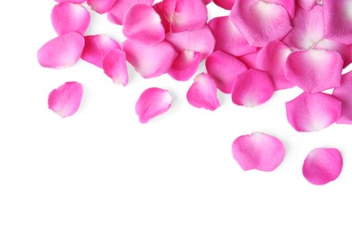 Photo of Many pink rose petals on white background, top view